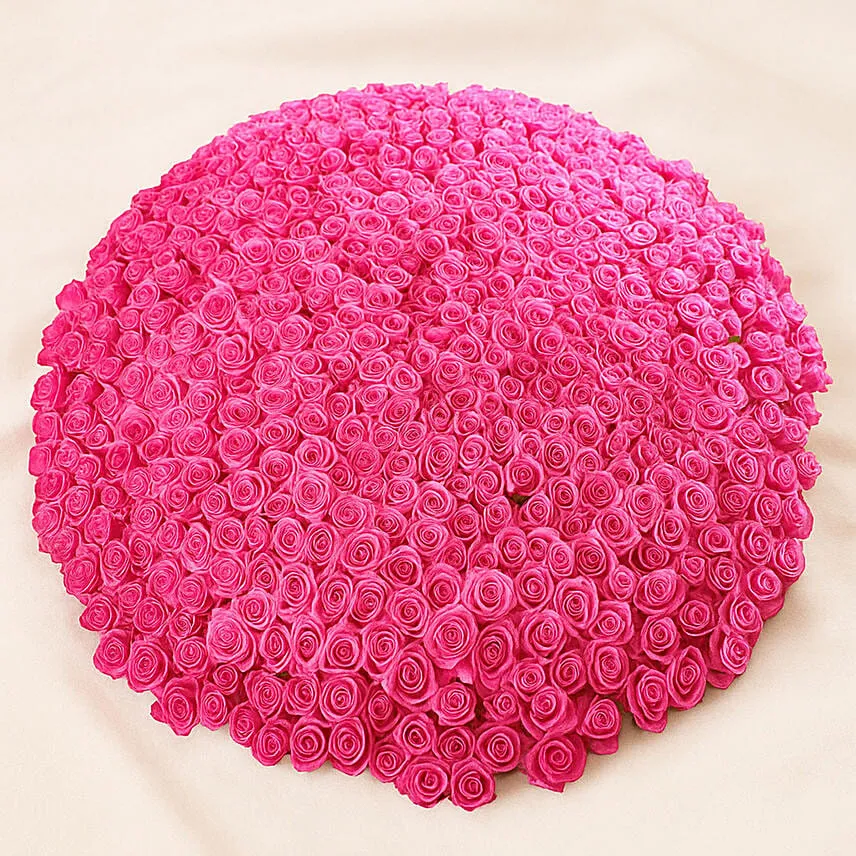 500 Dark Pink Roses Arrangement
