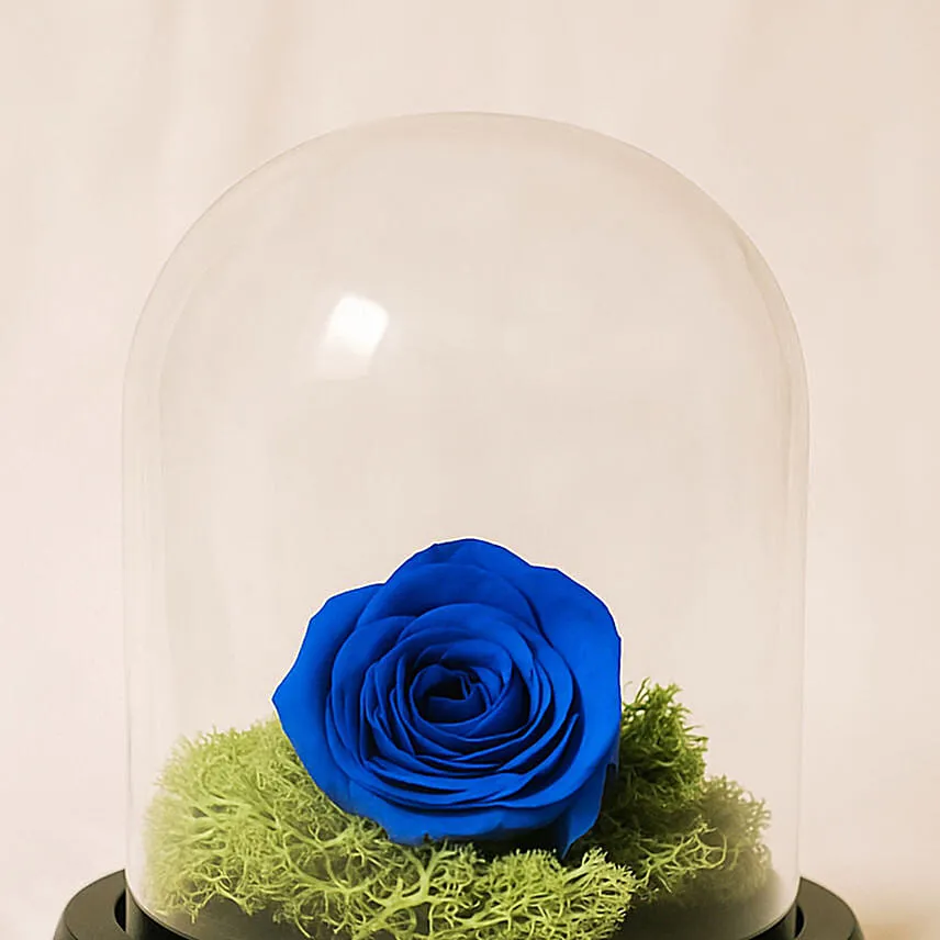Elegant Blue Rose