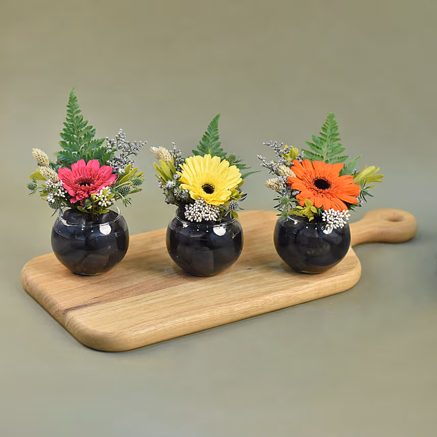 Gerberas Fish Bowl Vase Trio