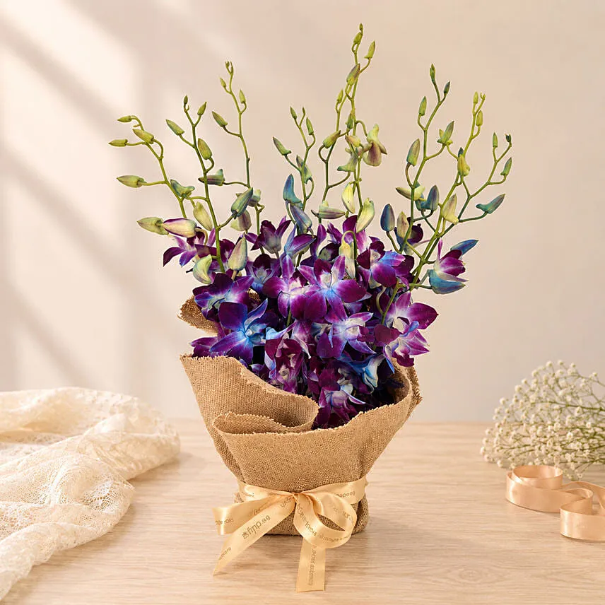 Gorgeous Orchids Arrangement