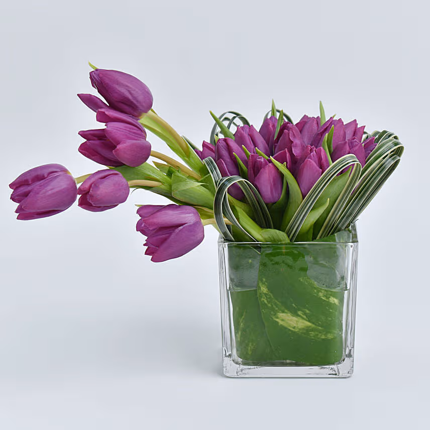 Entwine Tulip