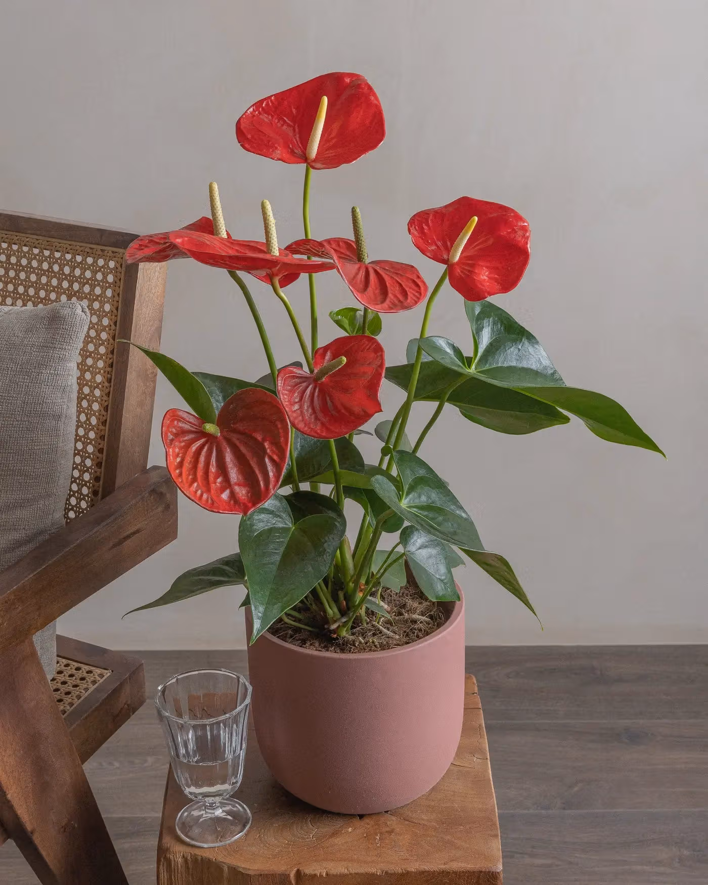 Varient Advanced - Test Product - Nursery / White