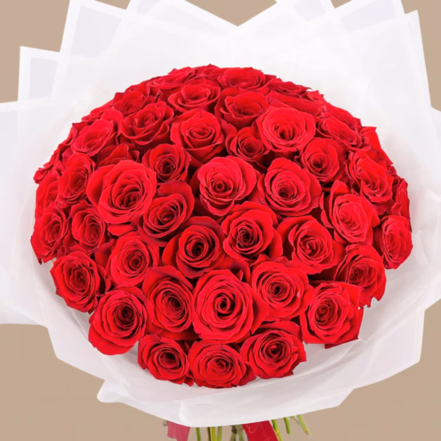 Passion's Embrace: Luxurious 50 Red Roses Bouquet