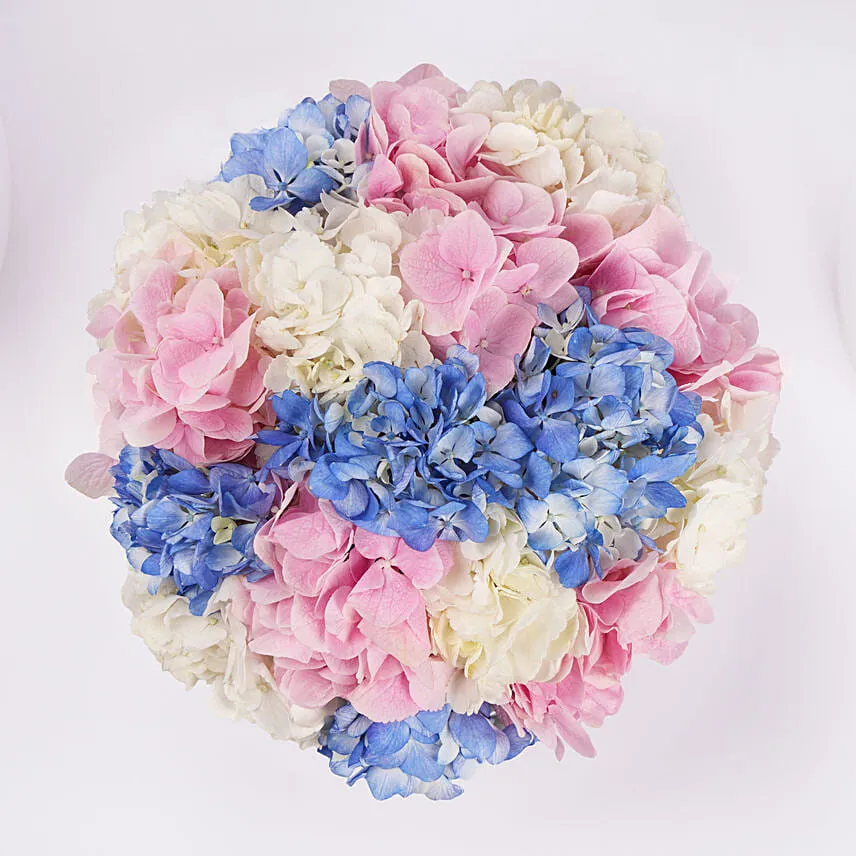 Pastel Hydrangea Mix Flower Box