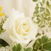 Morning Harmony Flower Vase 