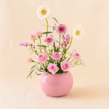 AANI & DANI Baby Girl Chocolates n Flower Vase