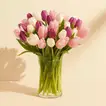 Painted Skies Tulip Bouquet in Elegant Glass Vase
