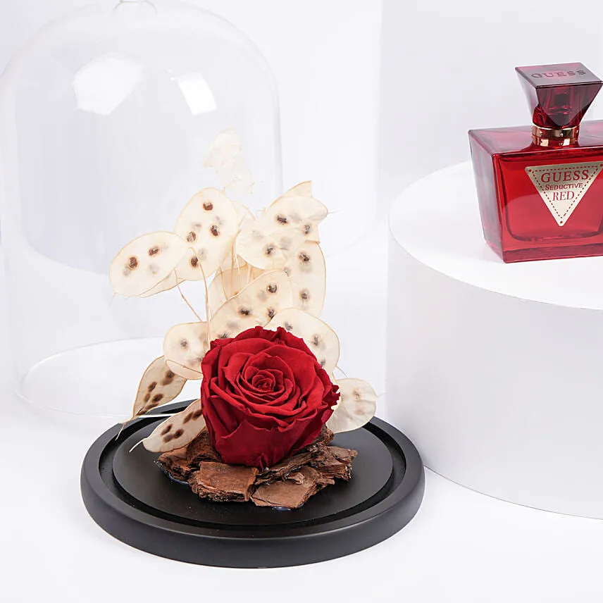Forever Red Rose With Guess Seductive Red For Women