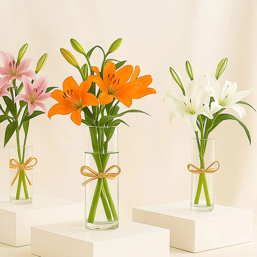 Lilies Beauty Trio
