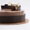 Decadent Caramel Gold Fudge Cake with Elegant Chocolate Design