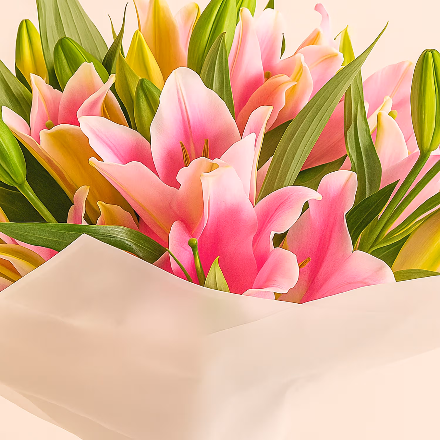 Pink Lily Bouquet In White Wrapping
