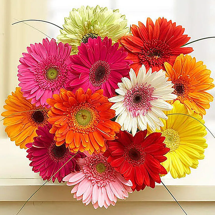 Blooming Mixed Gerberas Vase