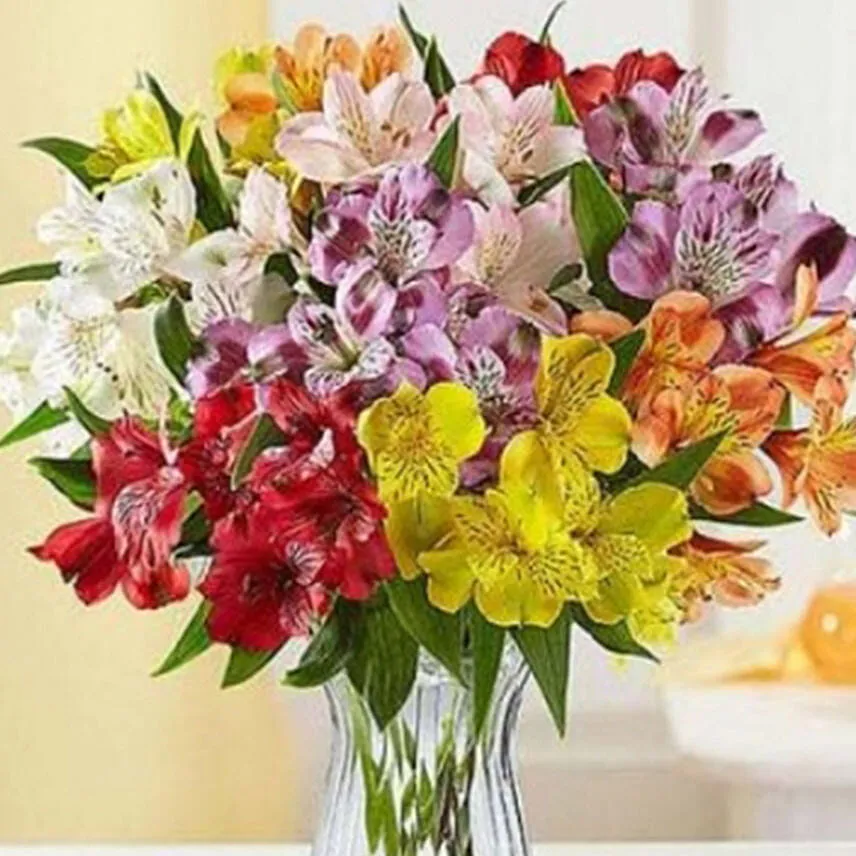 Peruvian Lilies In Vase