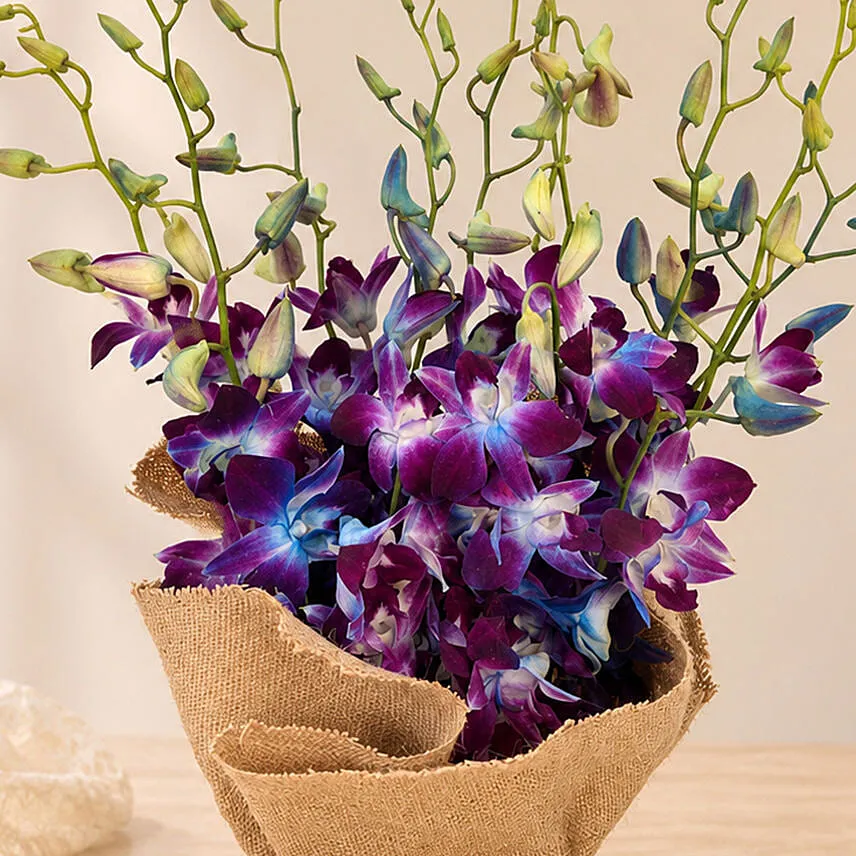 Gorgeous Orchids Arrangement
