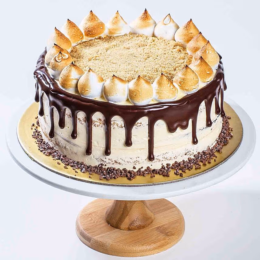 Belgium Chocolate S mores Cake