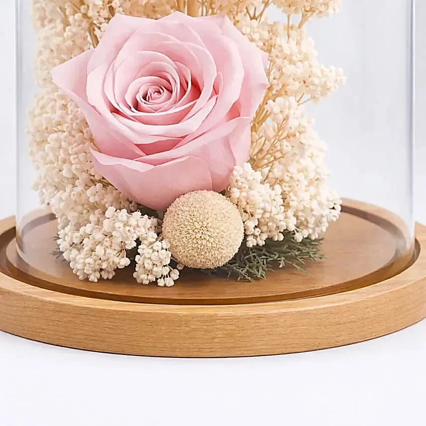 Preserved Pink Roses In Glass Dome For Mom
