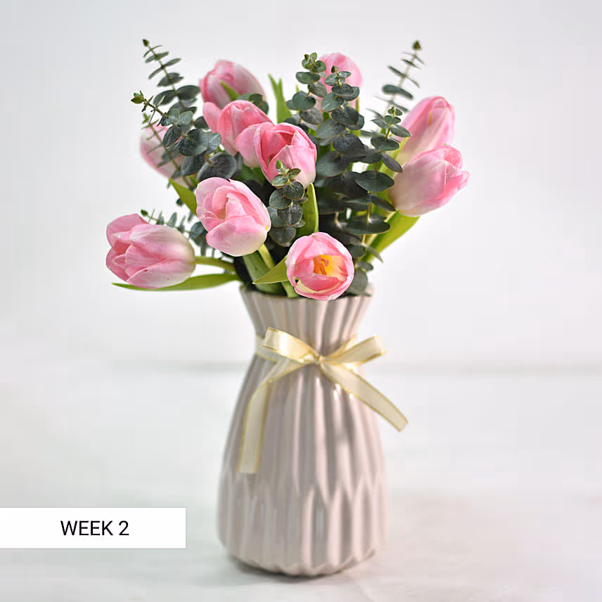 Charm Of Tulips
