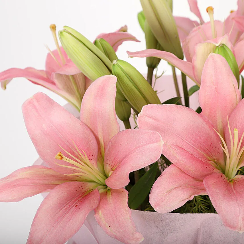 Admirable Asiatic Pink Lilies Bunch
