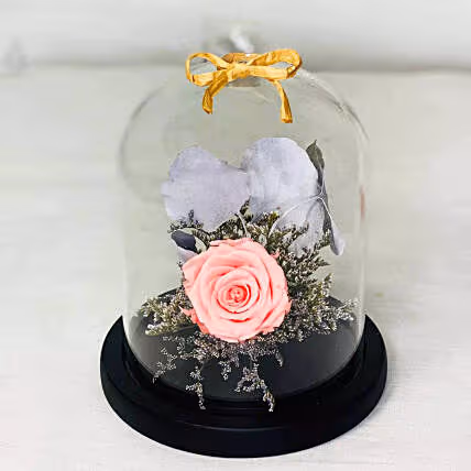 Elegant Pink Forever Rose in Glass Dome - Perfect Gift for Any Occasion