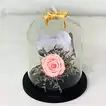 Elegant Pink Forever Rose in Glass Dome - Perfect Gift for Any Occasion