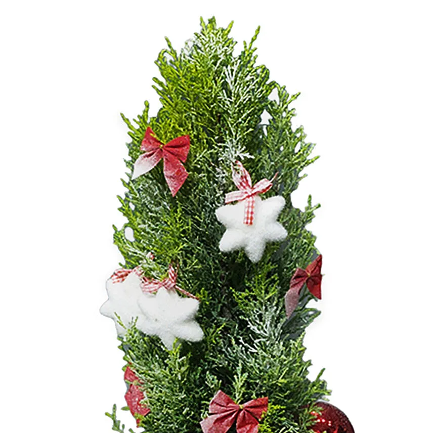 Your X Mas Tree