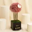 Pink Gypsophillia Tree With Chocolates
