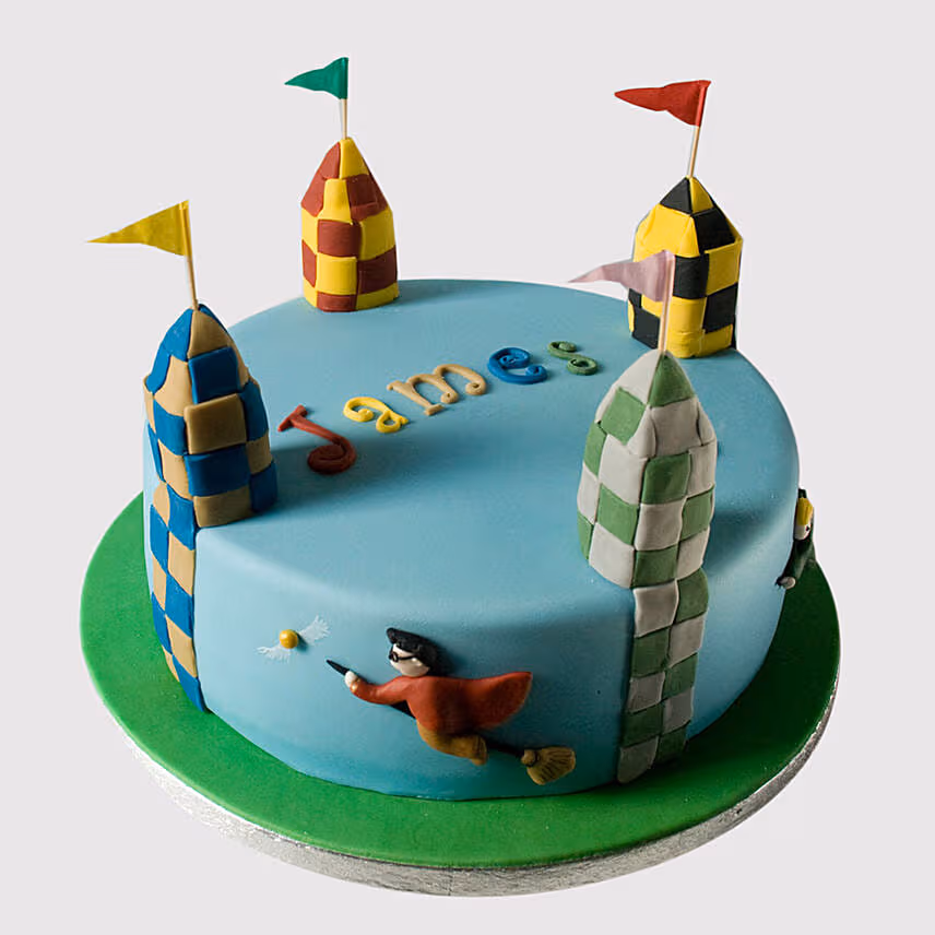 Harry Potter Quidditch Cake