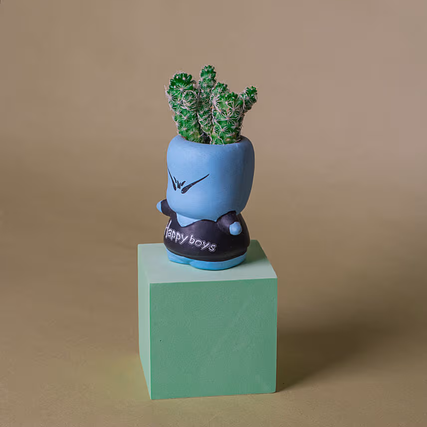 Cactus Quirky Boy Pot