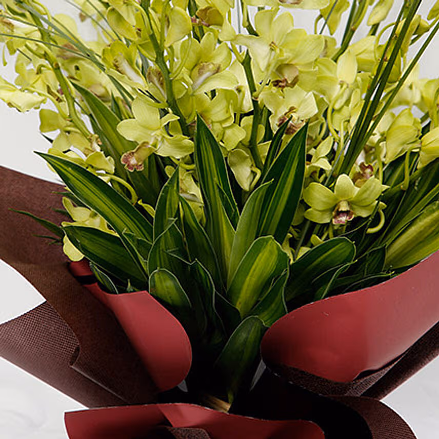 10 Green Mokara Orchids Bouquet