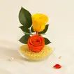 Amber Beauty Forever Roses Duo