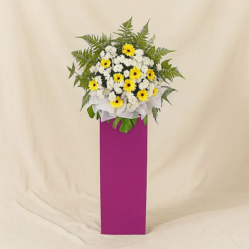 Yellow Gerberas White Pom In Beautiful Pink Stand