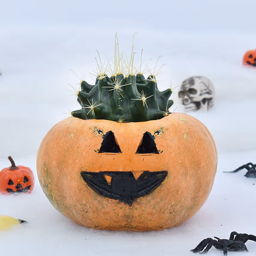 Cactus in Evil Pumpkin