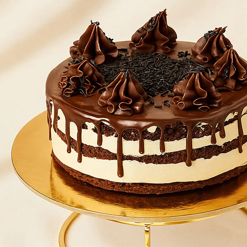 Coffee and Chocolate Cake