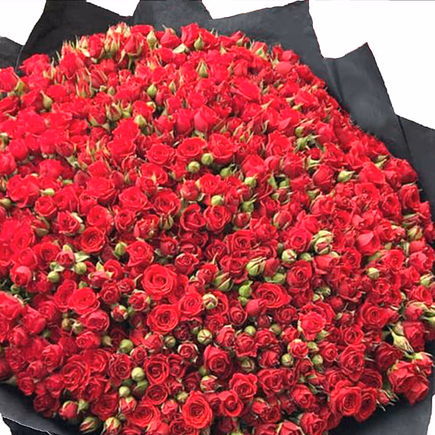 200 Red Spray Roses Bouquet