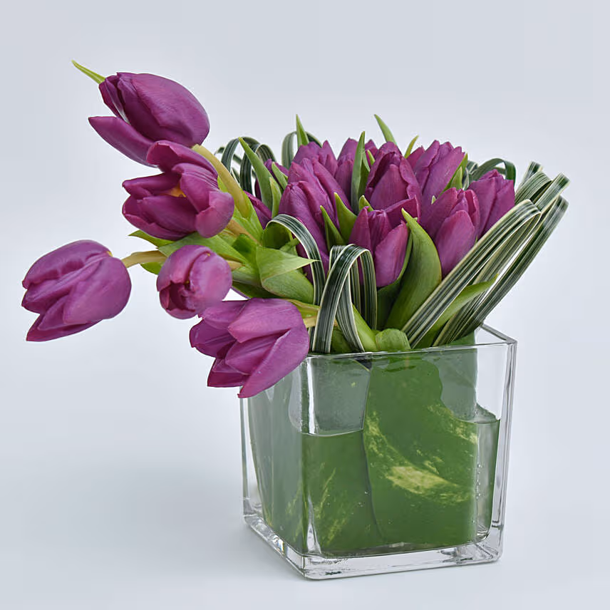 Entwine Tulip
