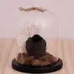 Elegant Black Forever Rose in Premium Glass Dome with Wooden Base