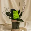 Elegant Green Forever Roses in Glass Vase - Natural Arrangement