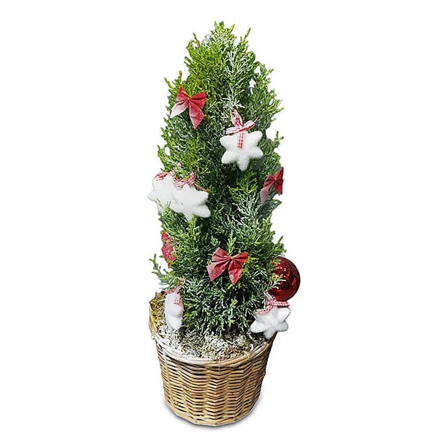 Your X Mas Tree