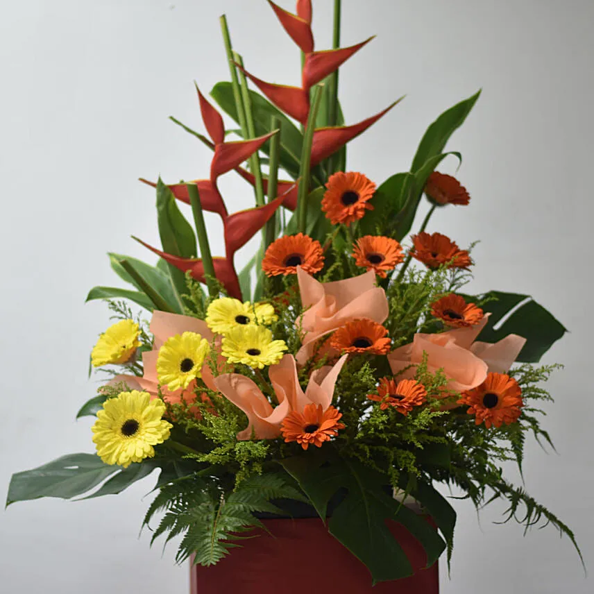 Birds Of Paradise