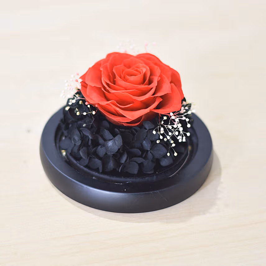 Valentine's Days Forever Red Rose in Glass Dome