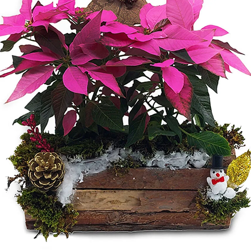 Pinkish Christmas