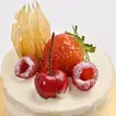 Exquisite Vanilla Mono Cake Delight