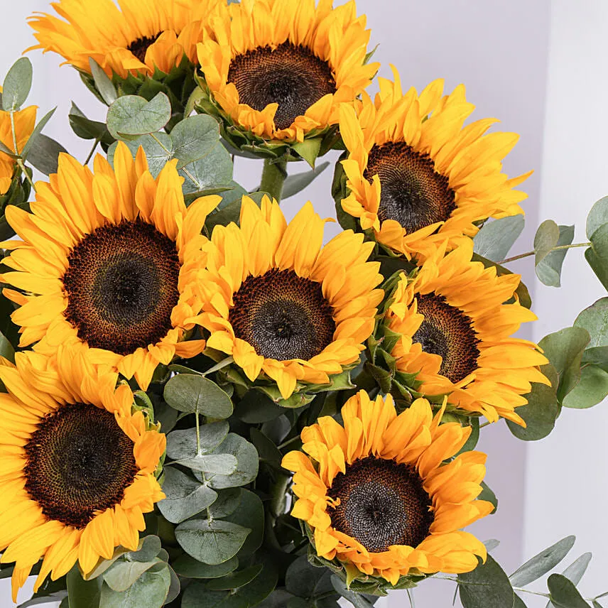 Sun Kissed Sunflowers