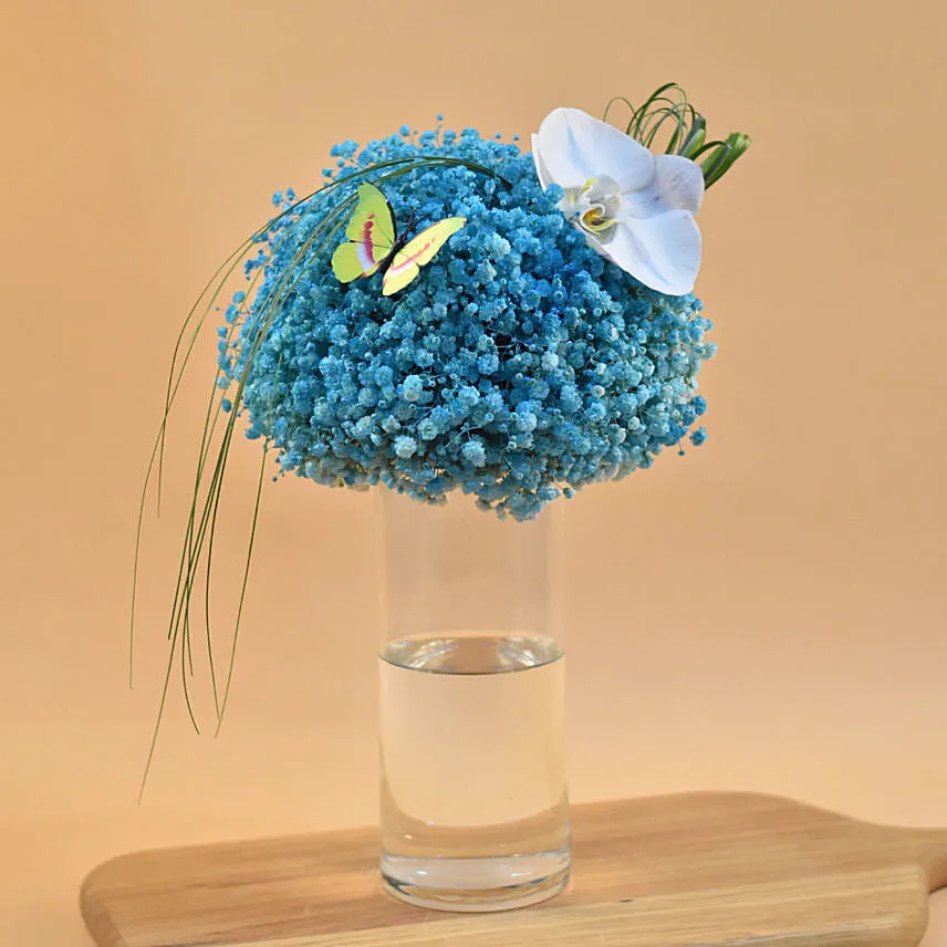 Blue Baby Breath & White Phalaenopsis Vase