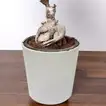 Elegant Ficus Bonsai Plant in Stylish Round Pot for Outdoor Spaces