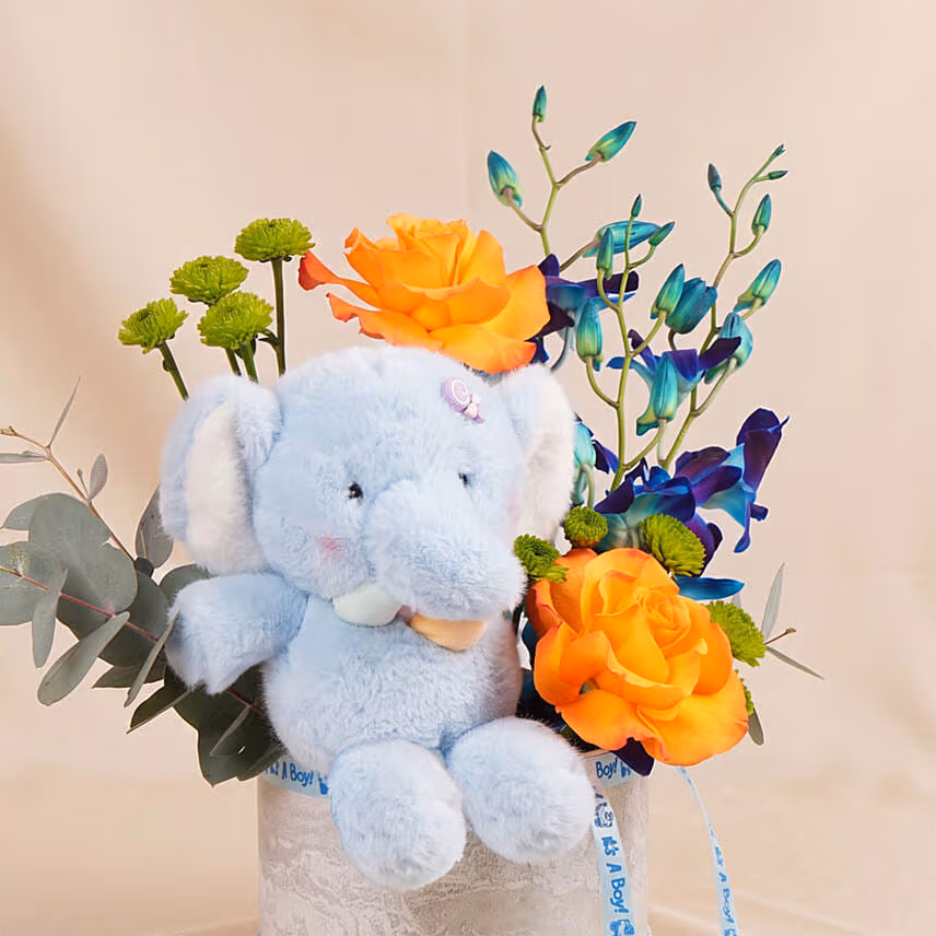 Baby Boy Elephant Plush & Roses Hatbox