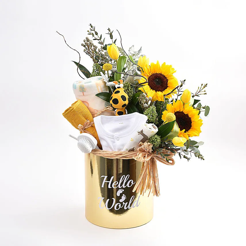 Hello World New Born Baby Hamper