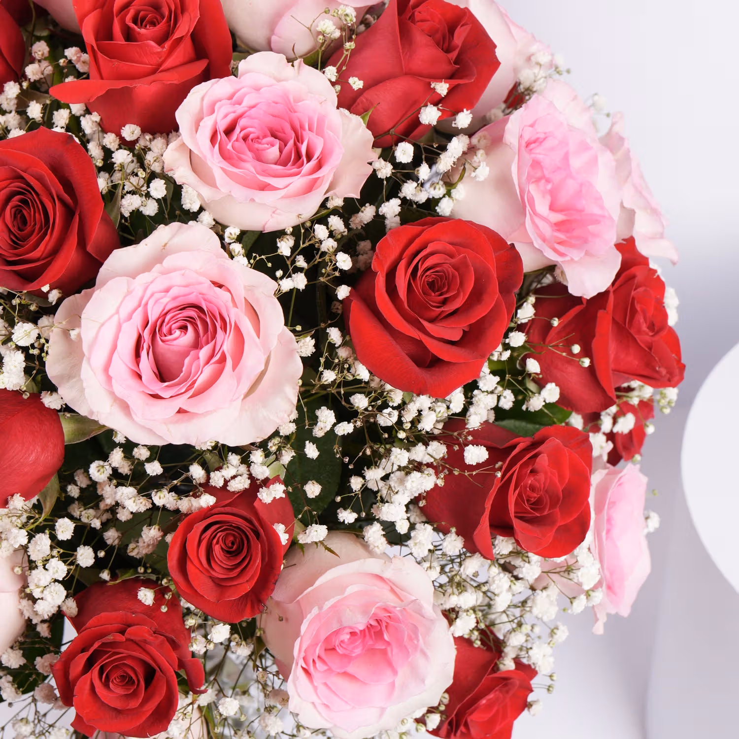 Rhapsody of 50 roses