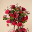 Opulent Pink Crown Flowers - Premium