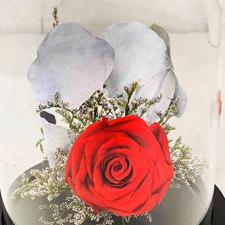 Single Red Forever Rose In Glass Dome for Valentines